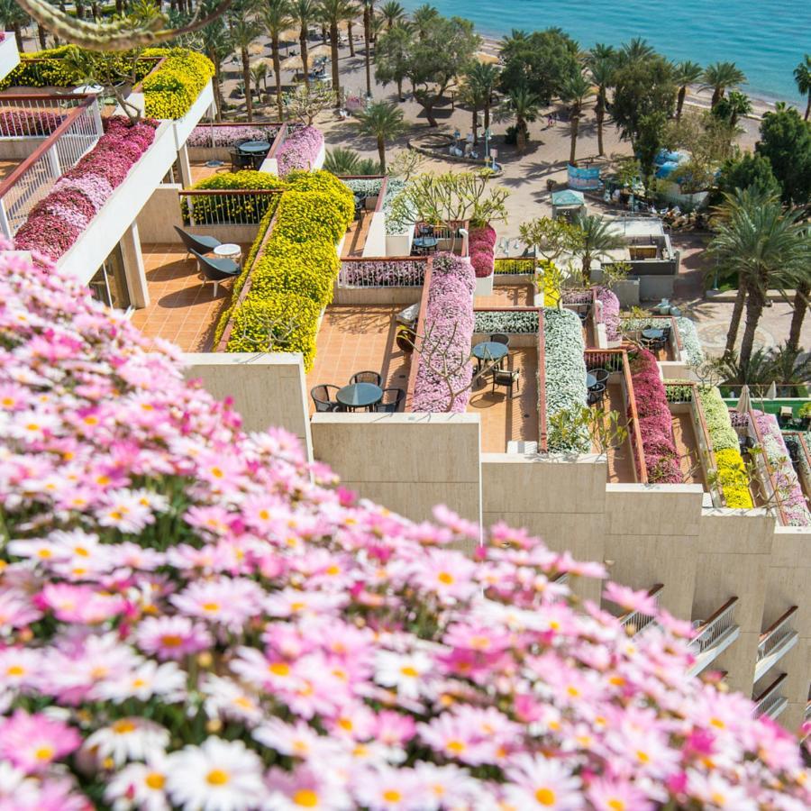 Dan Eilat Hotel Экстерьер фото The hotel's flower-filled balconies