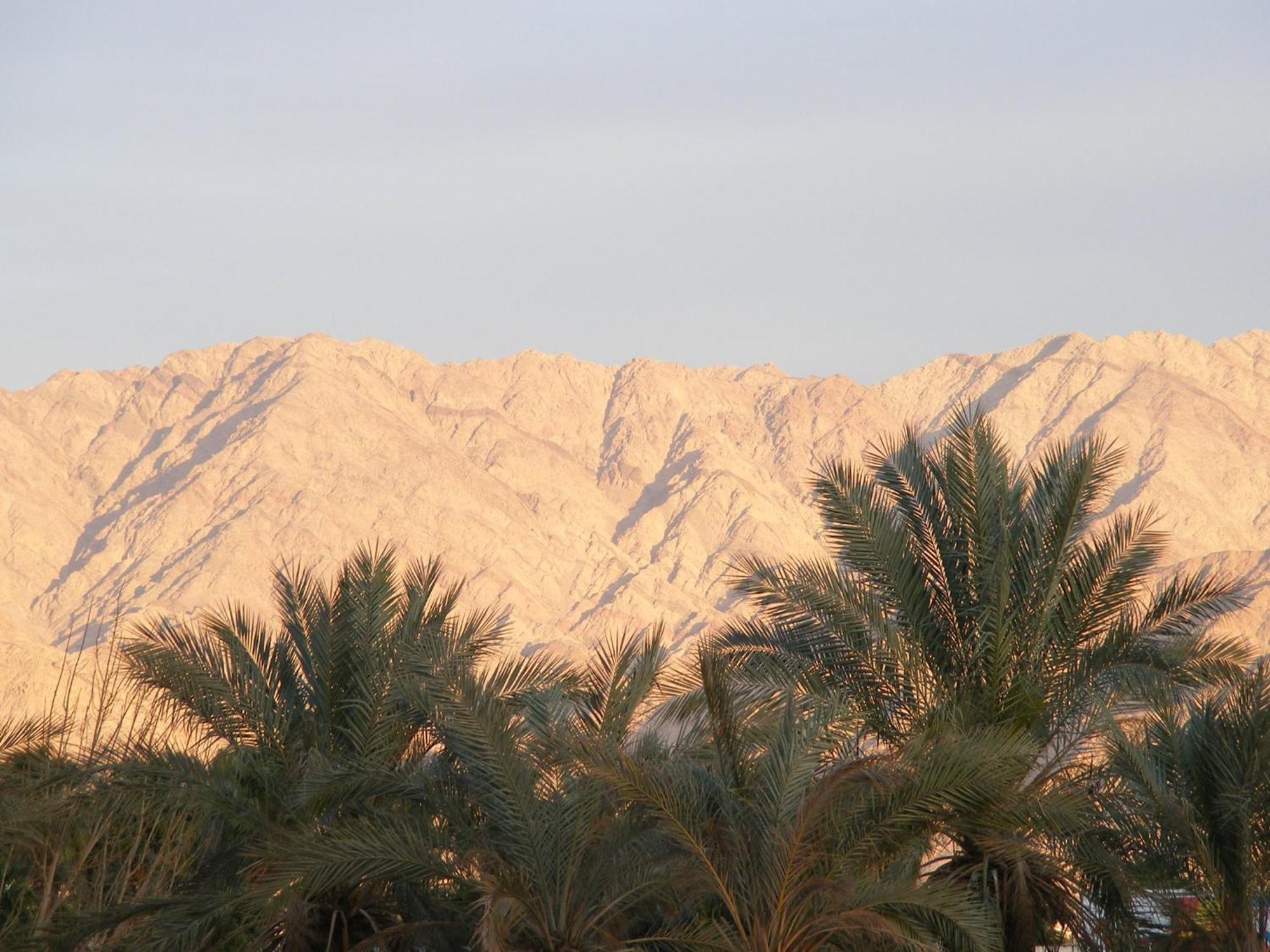 Dan Eilat Hotel Экстерьер фото The desert of al-Ahsa